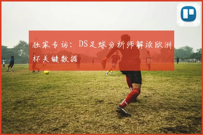 独家专访：DS足球分析师解读欧洲杯关键数据