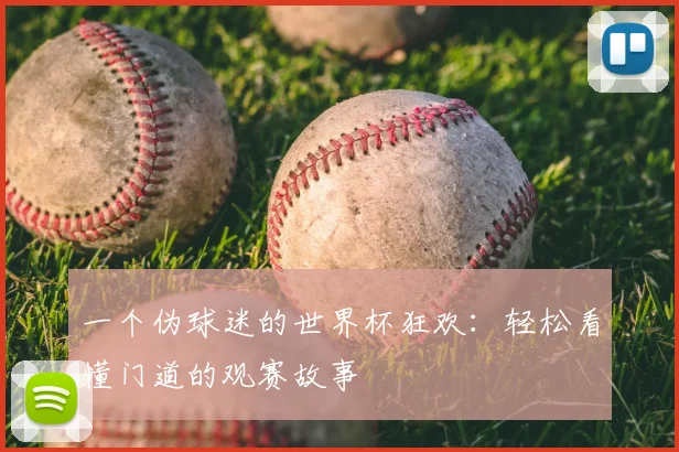 一个伪球迷的世界杯狂欢：轻松看懂门道的观赛故事