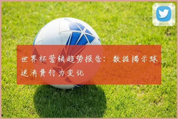 世界杯营销趋势报告：数据揭示球迷消费行为变化
