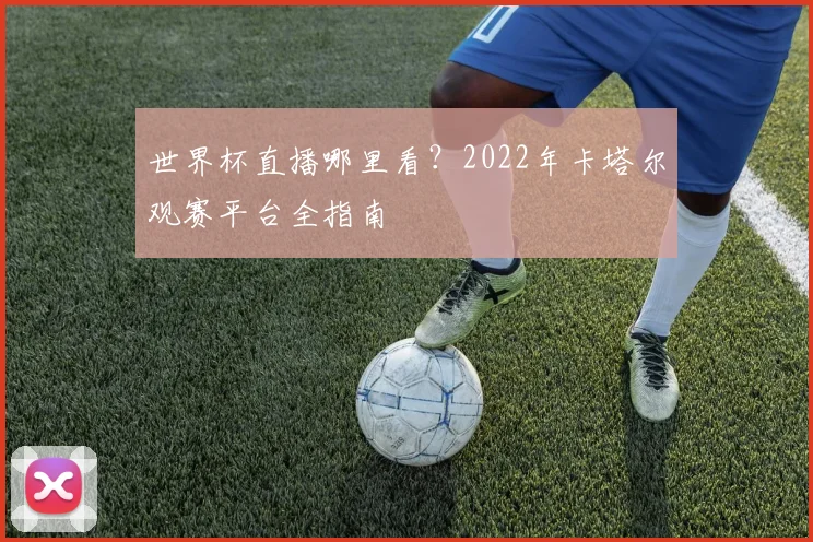 世界杯直播哪里看?2022年卡塔尔观赛平台全指南