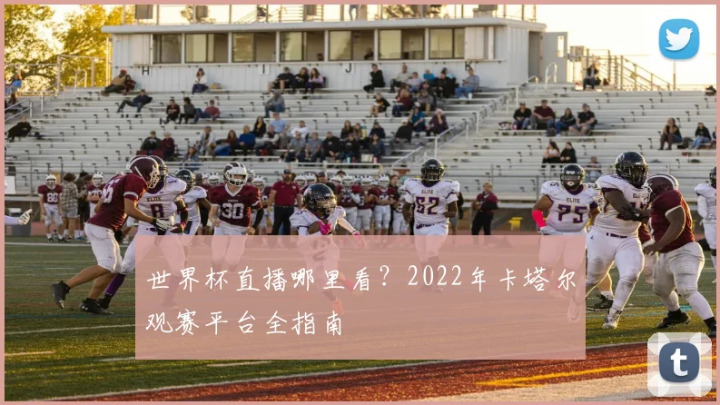 世界杯直播哪里看？2022年卡塔尔观赛平台全指南