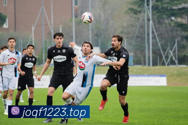 开云官方在线登陆入口服务体系